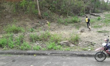 Last Remaining 160 Sqm Lot for Sale in Metropolis Talamban Cebu City