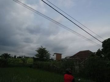 tanah Sawah di Kepuharjo Karangploso 1,334 Milyar