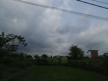 tanah Sawah di Kepuharjo Karangploso 1,334 Milyar