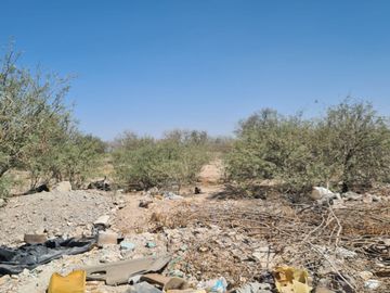 TERRENO EN VENTA EN EJIDO EL RANCHITO, TORREON.