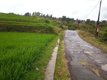 220 Tumbak Sawah Pinggir Jl Cijamil Mekarsari, Dekat Kantor IDI, Cipulus, Ngamprah, Bandung Barat