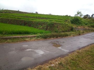 220 Tumbak Sawah Pinggir Jl Cijamil Mekarsari, Dekat Kantor IDI, Cipulus, Ngamprah, Bandung Barat