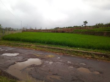 220 Tumbak Sawah Pinggir Jl Cijamil Mekarsari, Dekat Kantor IDI, Cipulus, Ngamprah, Bandung Barat