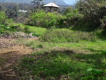 TANAH COCOK UNTUK KEBUN VILLA LOKASI BAGUS DI BEDUGUL TABANAN
