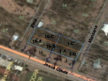 TERRENO EN VENTA EN CD.ALDAMA FRACC. SAN JERONIMO SUP 5,900 m2