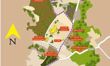 Townhouse for Sale in Cebu City Talamban 3 Storey Mulberry Drive