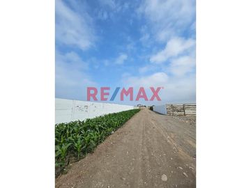 Oportunidad de invertir en un lote de terreno rústico (predio San Juan de agua dulce) en San Vicente de Cañete 
1 lote de 500 m2 en esquina US$ 40,00