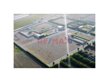 Oportunidad de invertir en un lote de terreno rústico (predio San Juan de agua dulce) en San Vicente de Cañete 
1 lote de 500 m2 en esquina US$ 40,00