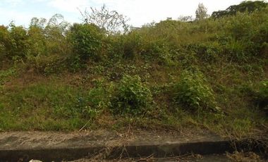 Elevated 250 SQM Subdivision Lot for Sale in Greenwoods near Talamban Cebu City