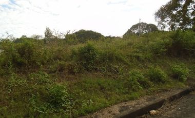 Elevated 250 SQM Subdivision Lot for Sale in Greenwoods near Talamban Cebu City