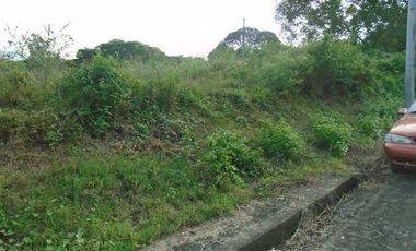 Elevated 250 SQM Subdivision Lot for Sale in Greenwoods near Talamban Cebu City