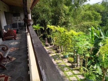 Rumah Etnik Full furnished Asri nan Sejuk di Purwomartani Sleman