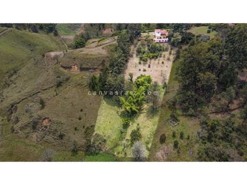 Venta de Finca Indepediente Vereda Los Pinos
