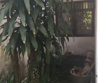 Rumah 1.5 Lantai, asri, nyaman dan tenang dimegapolitan cinere