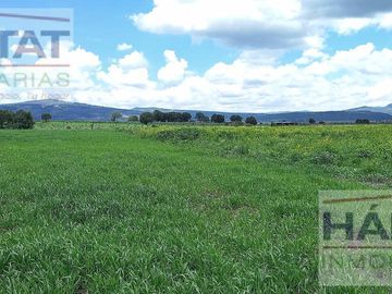 Terreno en venta en  Atlangatepec Tlaxcala precio de oportunidad