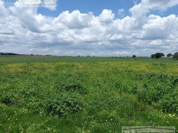 Terreno en venta en  Atlangatepec Tlaxcala precio de oportunidad