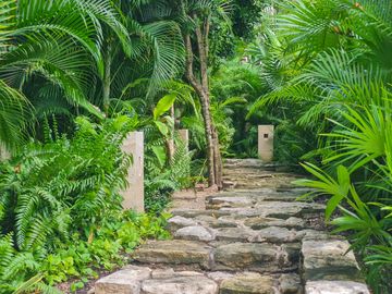 Hermoso PH de 2 rec. en AWA Playacar / Beautiful 2 bedroom PH in AWA Playacar