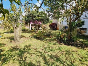 finca en venta en pavitas. Cod V14432