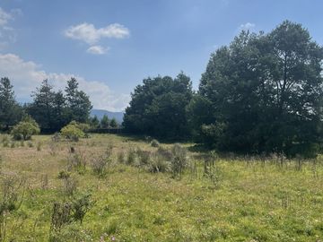 TERRENO PARA RANCHO