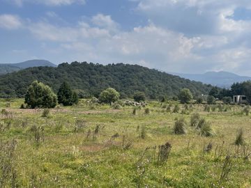 TERRENO PARA RANCHO