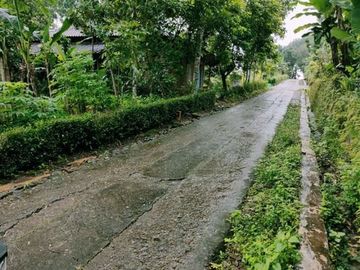 TANAH DIJUAL DI MOJOGEDANG KARANGANYAR