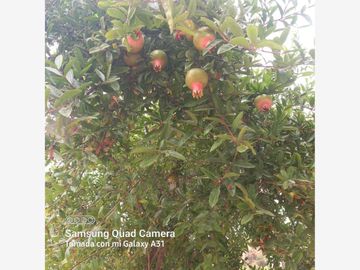Finca/Rancho en Venta en Zona Cerril General