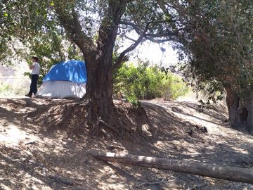 Finca/Rancho en Venta en Zona Cerril General