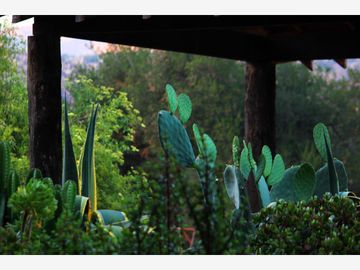 Finca/Rancho en Venta en Zona Cerril General