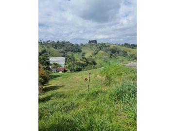 Venta de Lote y Casa Carmen de Viboral