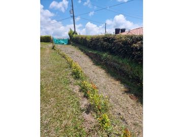 Venta de Lote y Casa Carmen de Viboral