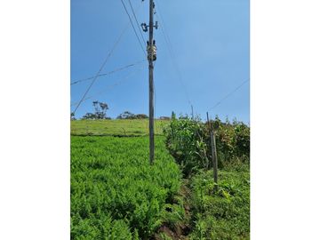 Venta de Lote y Casa Carmen de Viboral