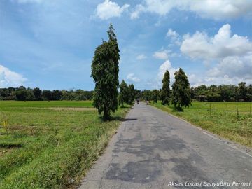 Kavling Murah Utara Jl.Daendels-Purworejo, View Sawah