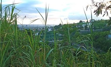 157 Sqm Lot for Sale in Vista Grande Talisay Cebu City near to the clubhouse