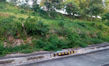 157 Sqm Lot for Sale in Vista Grande Talisay Cebu City near to the clubhouse