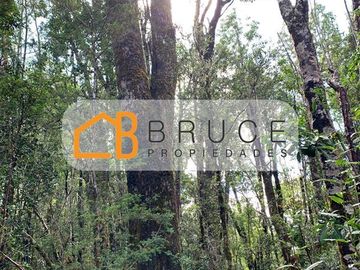 Agrícola en Venta en Sector Huallihuape, cerca del Parque Nacional Alerce Costero, comuna La Unión