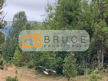 Agrícola en Venta en Sector Huallihuape, cerca del Parque Nacional Alerce Costero, comuna La Unión