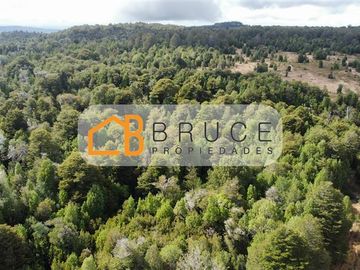 Agrícola en Venta en Sector Huallihuape, cerca del Parque Nacional Alerce Costero, comuna La Unión