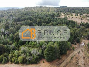 Agrícola en Venta en Sector Huallihuape, cerca del Parque Nacional Alerce Costero, comuna La Unión