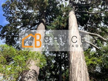 Agrícola en Venta en Sector Huallihuape, cerca del Parque Nacional Alerce Costero, comuna La Unión
