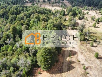 Agrícola en Venta en Sector Huallihuape, cerca del Parque Nacional Alerce Costero, comuna La Unión