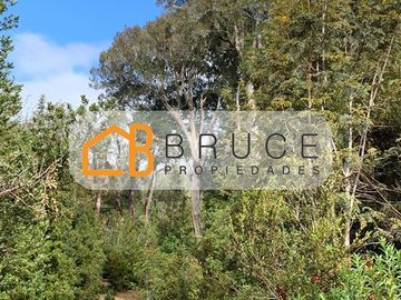Agrícola en Venta en Sector Huallihuape, cerca del Parque Nacional Alerce Costero, comuna La Unión