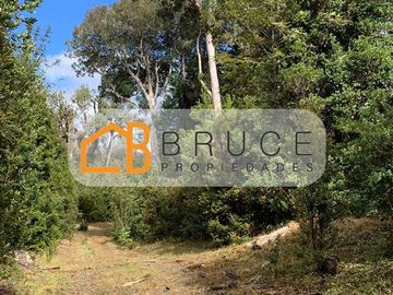Agrícola en Venta en Sector Huallihuape, cerca del Parque Nacional Alerce Costero, comuna La Unión
