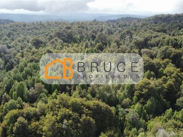 Agrícola en Venta en Sector Huallihuape, cerca del Parque Nacional Alerce Costero, comuna La Unión