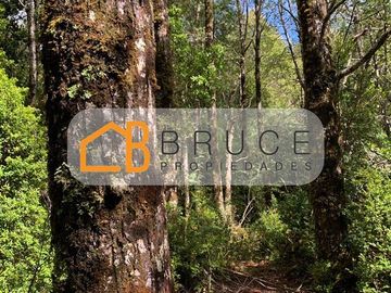 Agrícola en Venta en Sector Huallihuape, cerca del Parque Nacional Alerce Costero, comuna La Unión