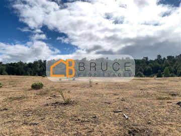 Agrícola en Venta en Sector Huallihuape, cerca del Parque Nacional Alerce Costero, comuna La Unión