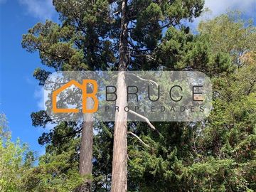Agrícola en Venta en Sector Huallihuape, cerca del Parque Nacional Alerce Costero, comuna La Unión