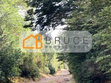 Agrícola en Venta en Sector Huallihuape, cerca del Parque Nacional Alerce Costero, comuna La Unión
