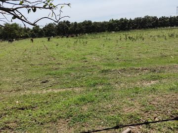 🌴 ¡TERRENO DE ENSUEÑO CERCA DEL PARAÍSO! 🌊✨ EN BAHIA DE BANDERAS