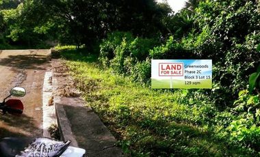 Most Affordable 129 Sqm Lot for Sale in Greenwoods near Talamban Cebu City