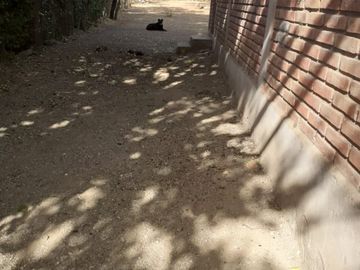 CASA 3 AMBIENTES EN AMPLIO LOTE EN SAN LUIS VENDE O PERMUTA POR PROPIEDAD EN MAR DEL PLATA